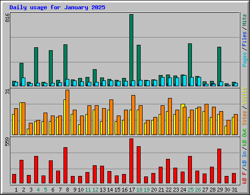 Daily usage for January 2025