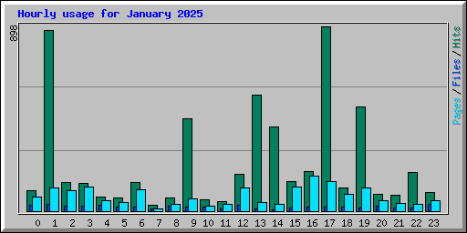 Hourly usage for January 2025