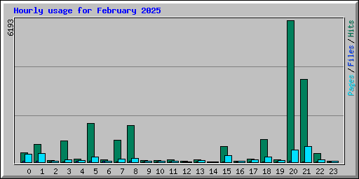 Hourly usage for February 2025