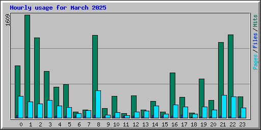 Hourly usage for March 2025