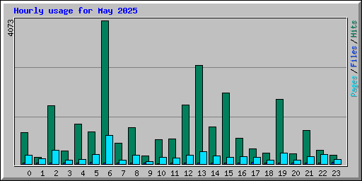 Hourly usage for May 2025