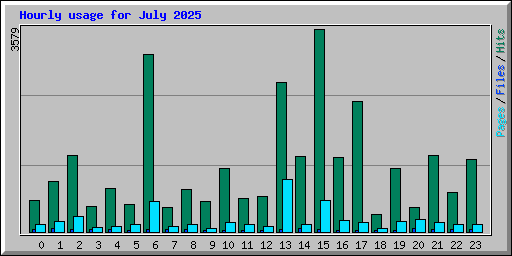 Hourly usage for July 2025