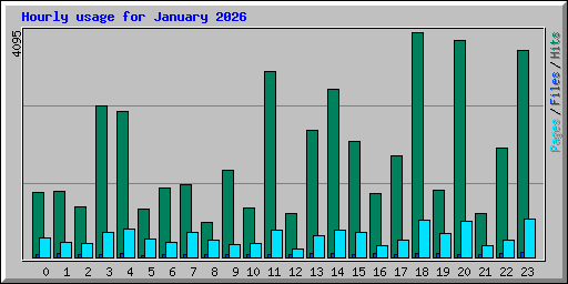 Hourly usage for January 2026