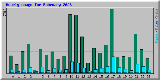 Hourly usage for February 2026