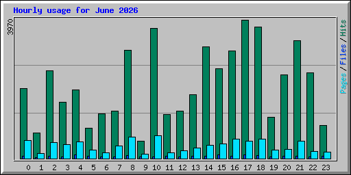 Hourly usage for June 2026